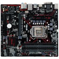 Материнская плата ASUS PRIME B250M-PLUS изображение 2