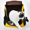 Рюкзак туристичний Little Beast Star PET SCHOOL BAG XN11-5001 Yellow (689288) зображення 2