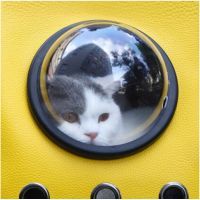 Рюкзак туристический Little Beast Star PET SCHOOL BAG XN11-5001 Yellow (689288) изображение 3