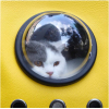 Рюкзак туристичний Little Beast Star PET SCHOOL BAG XN11-5001 Yellow (689288) зображення 3