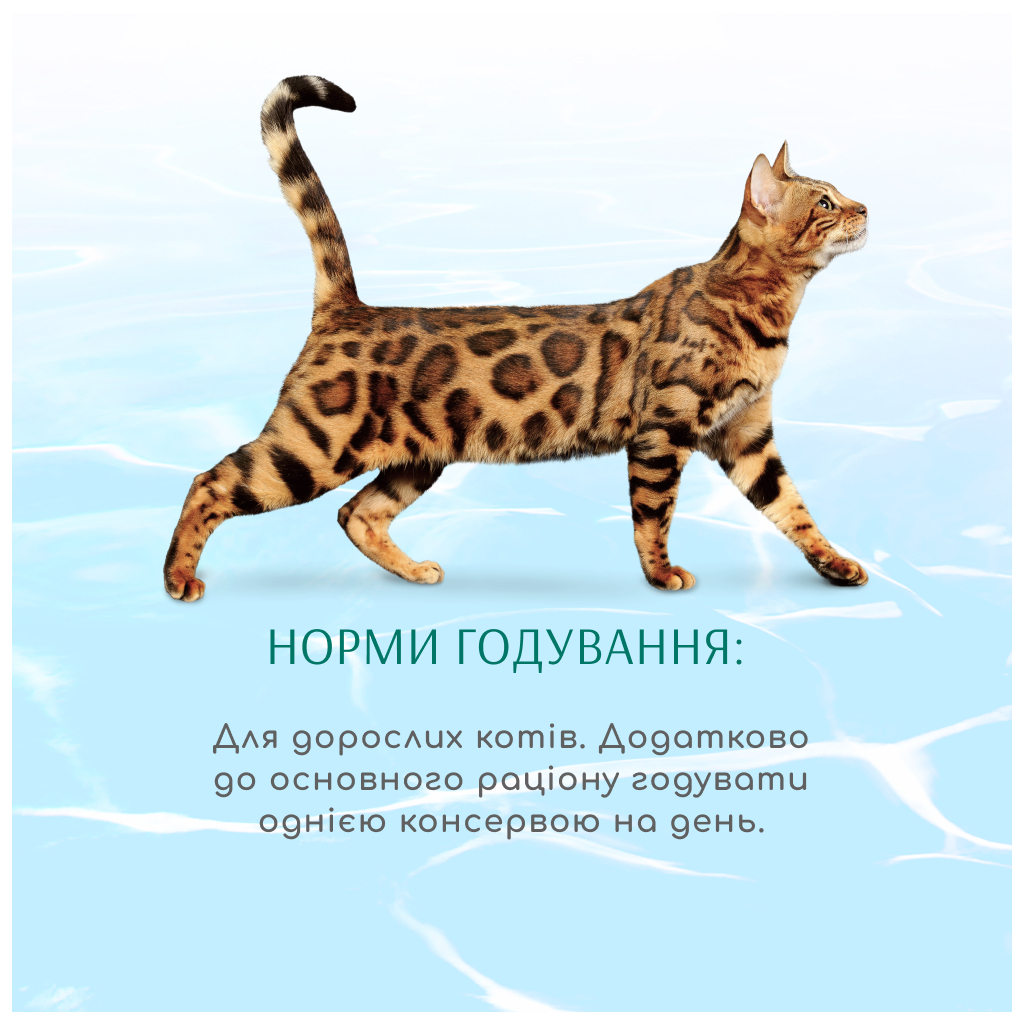 Консервы для кошек Optimeal Beauty Podium полосатый тунец в соусе с кальмарами 70 г (4820215366243) изображение 4