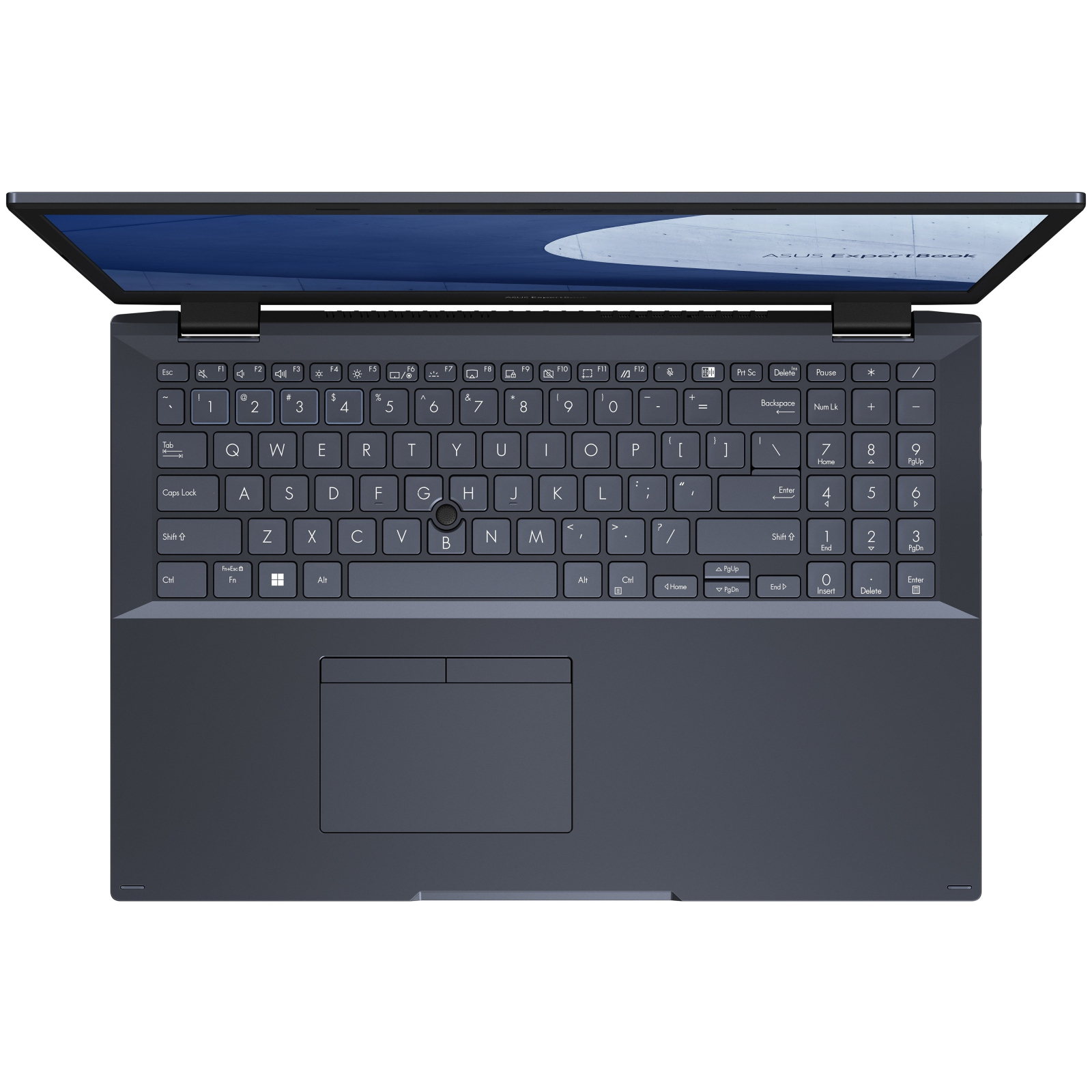 Ноутбук ASUS ExpertBook L2 L2502CYA-BQ0135 (90NX0501-M00910) изображение 4