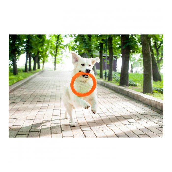 Игрушка для собак Collar PitchDog Кольцо для апортировки 20 см оранжевое (62374) изображение 4