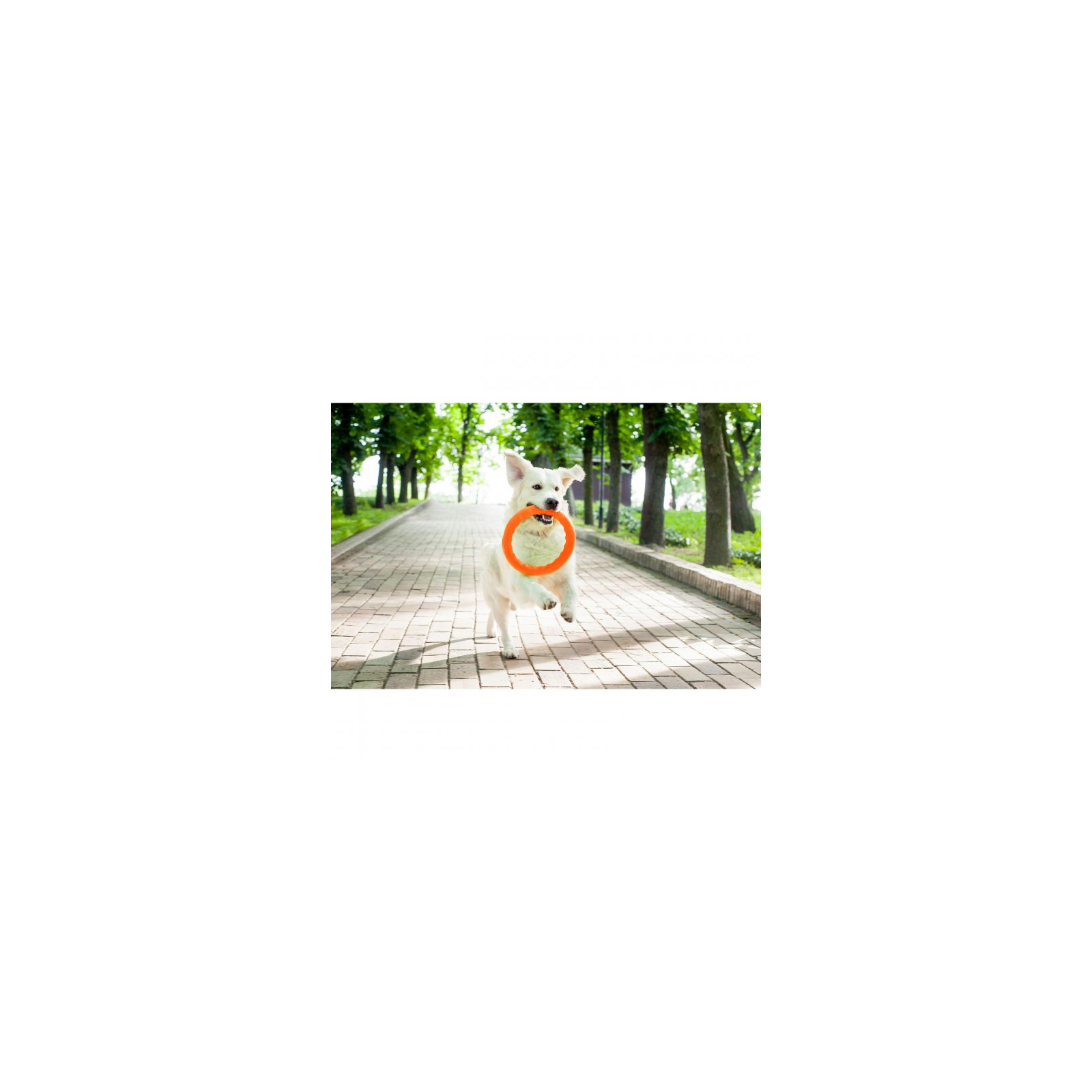 Іграшка для собак Collar PitchDog Кільце для апортування 20 см помаранчеве (62374) зображення 4