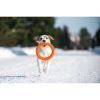 Игрушка для собак Collar PitchDog Кольцо для апортировки 20 см оранжевое (62374) изображение 8