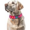 Ошейник для животных WAUDOG Waterproof с QR паспортом пластиковый фастекс XXL розовый (25117) изображение 4