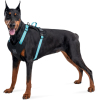 Шлея для собак WAUDOG Nylon безпечна з QR паспортом M блакитна (52492) зображення 3