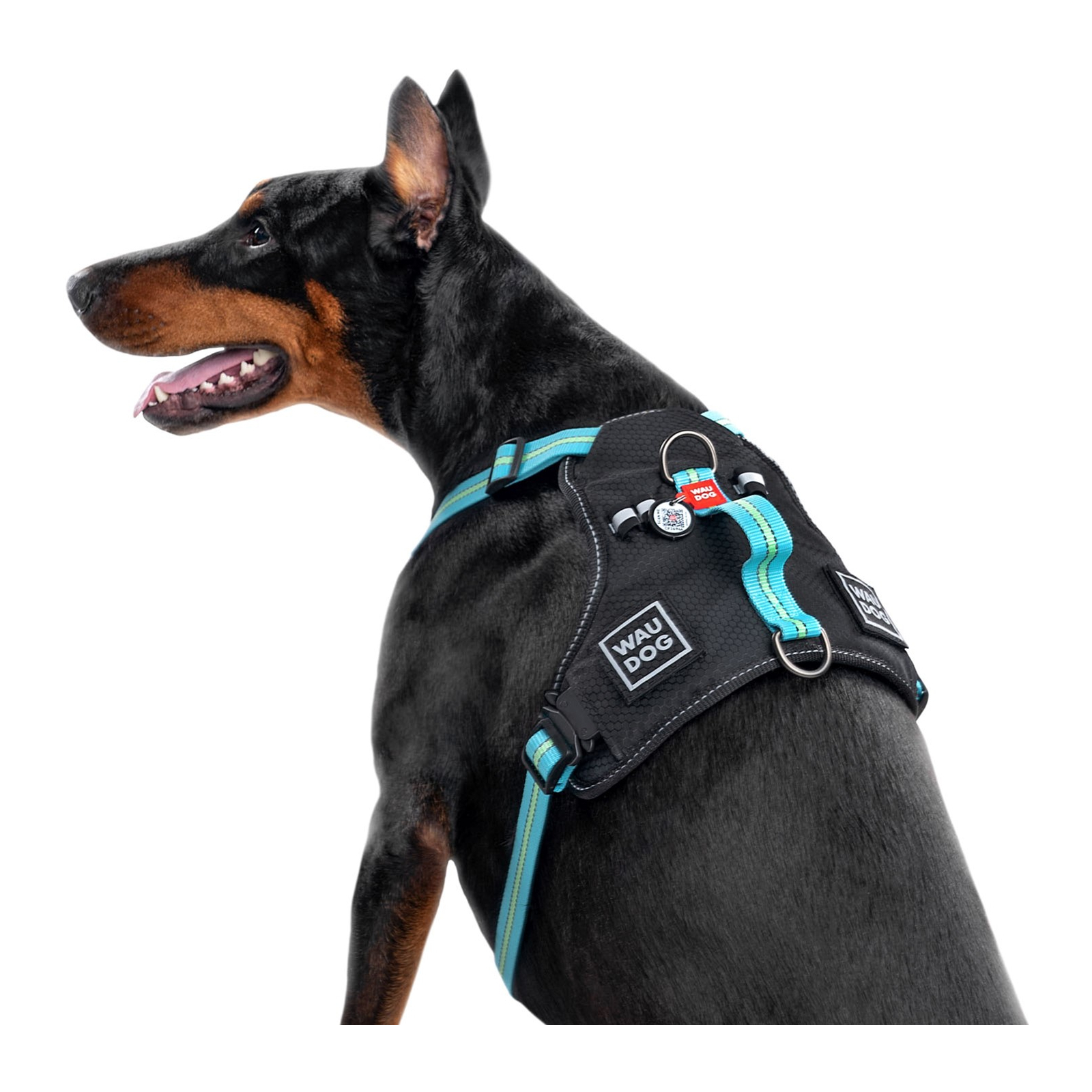 Шлей для собак WAUDOG Nylon безопасна с QR паспортом M голубая (52492) изображение 4