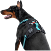 Шлея для собак WAUDOG Nylon безпечна з QR паспортом M блакитна (52492) зображення 4