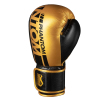 Боксерские перчатки Phantom APEX Elastic Gold 10oz (PHBG2215-10) изображение 2