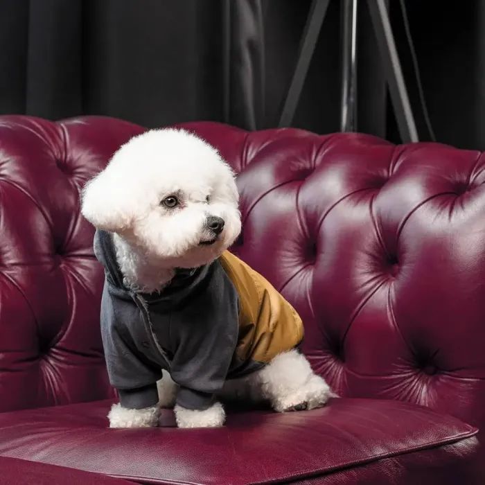 Толстовка для тварин Pet Fashion Rollie S (4823082427703) зображення 6