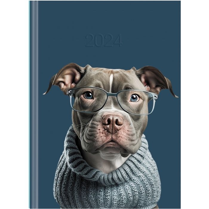 Тижневик Economix датований 2024 COLOR, А5 (E21840)