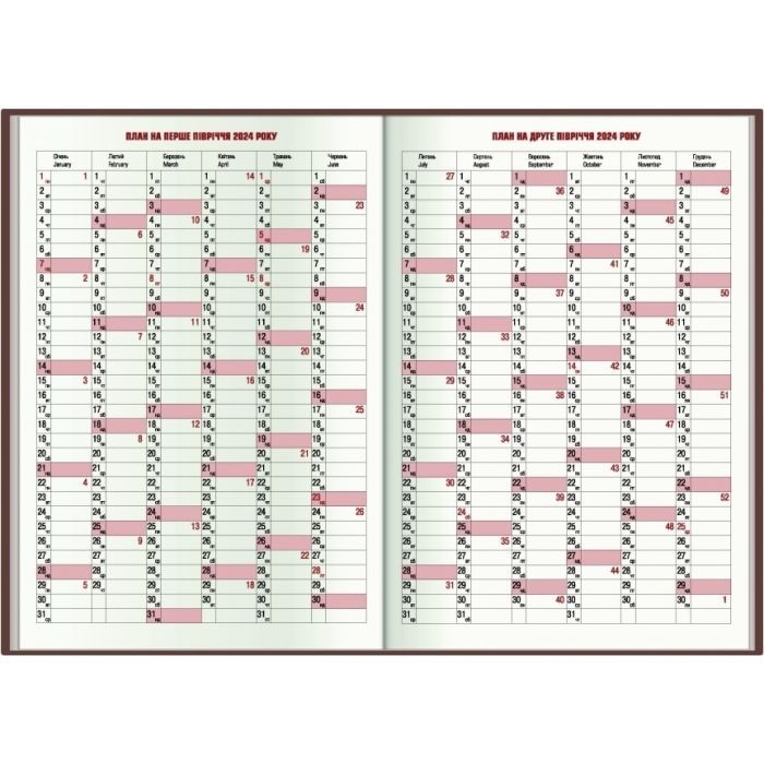 Тижневик Economix датований 2024 COLOR, А5 (E21840) зображення 3