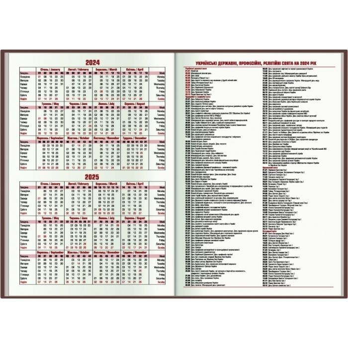 Тижневик Economix датований 2024 COLOR, А5 (E21840) зображення 4