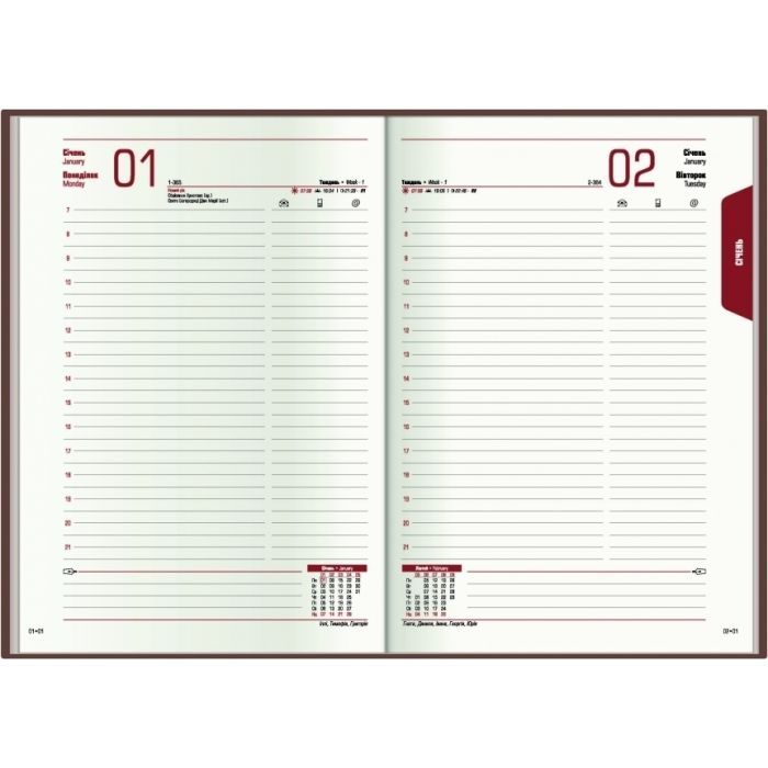 Тижневик Economix датований 2024 COLOR, А5 (E21840) зображення 5