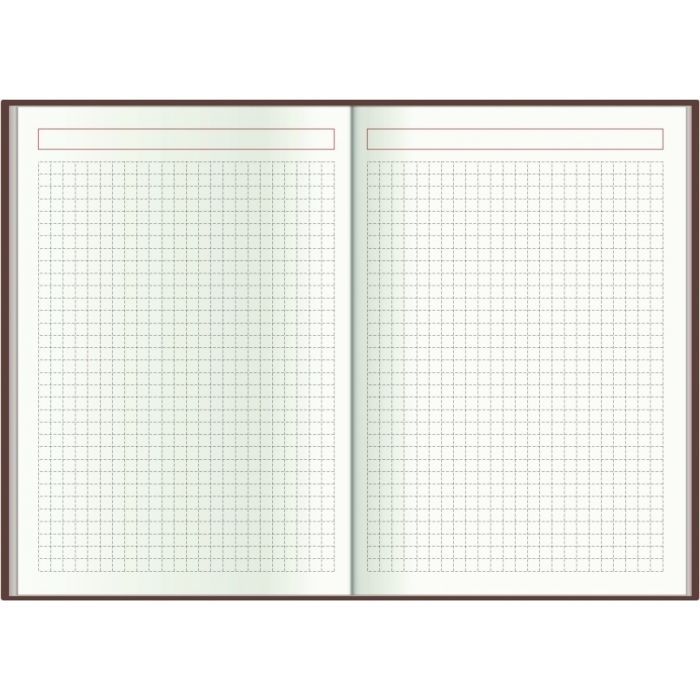 Тижневик Economix датований 2024 COLOR, А5 (E21840) зображення 6