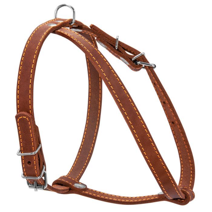 Шлей для собак Collar одинарная для малых пород Ш 14 мм А:40-48 см В:43-51 см черная (06341)