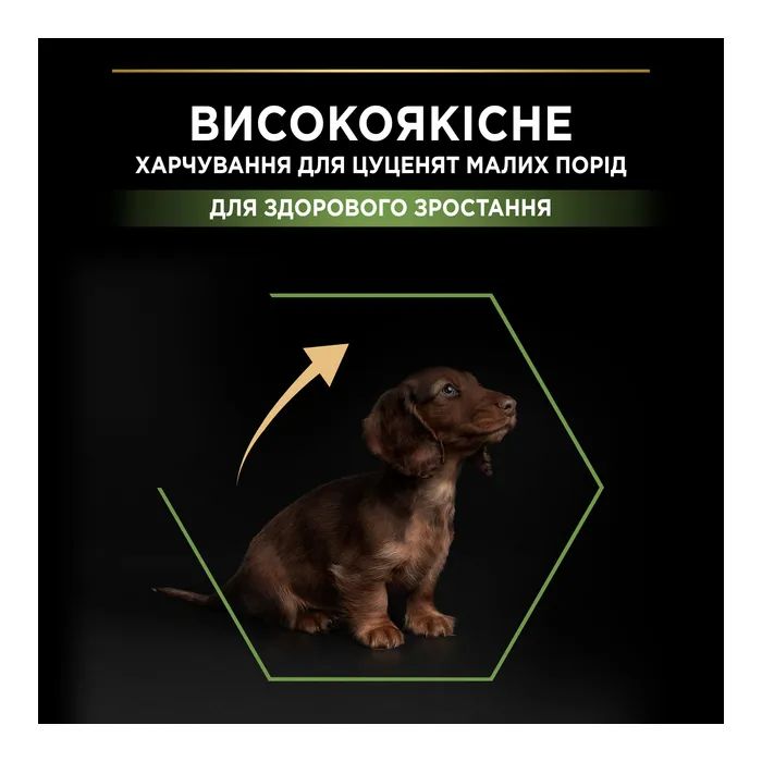 Сухий корм для собак Purina Pro Plan Dog Small&Mini Puppy з куркою і рисом 3 кг (7613035114340) зображення 5