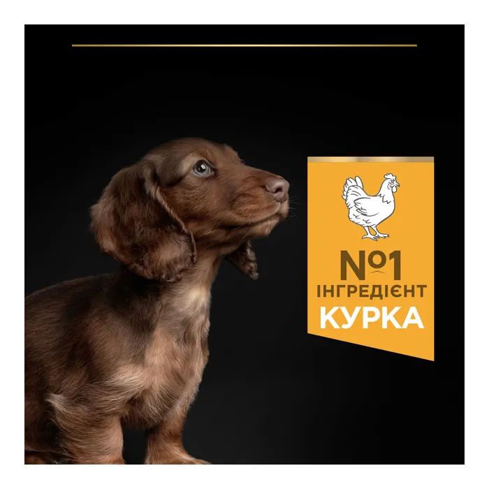 Сухий корм для собак Purina Pro Plan Dog Small&Mini Puppy з куркою і рисом 3 кг (7613035114340) зображення 6