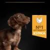 Сухий корм для собак Purina Pro Plan Dog Small&Mini Puppy з куркою і рисом 3 кг (7613035114340) зображення 6