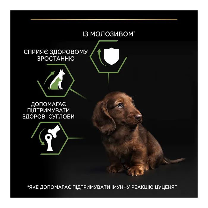 Сухий корм для собак Purina Pro Plan Dog Small&Mini Puppy з куркою і рисом 3 кг (7613035114340) зображення 7