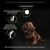 Сухий корм для собак Purina Pro Plan Dog Small&Mini Puppy з куркою і рисом 3 кг (7613035114340) зображення 7