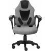 Кресло игровое GT Racer X-1414 Gray/Black Suede (X-1414 Fabric Gray/Black Suede)