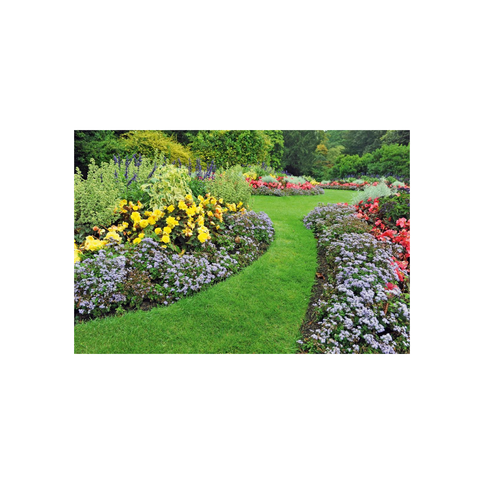 Садовое ограждение Cellfast лента газонная, бордюрная, прямая, 10смх9м, черная (30-231H) изображение 2