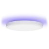 Светильник Yeelight Arwen Ceiling Light 550S with HomeKit (YLXD013-A) изображение 2