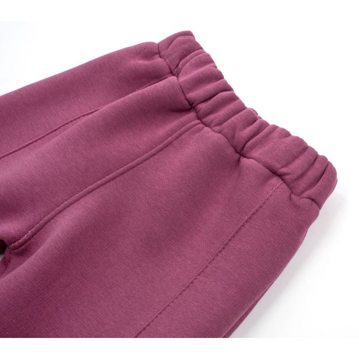 Штани дитячі Joi флісові (BE-801-86G-violet) зображення 3