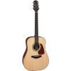 Гитара акустическая Takamine GD10 NS (226785)