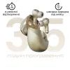Наушники HiFuture SonicAir Champagne (sonicair.champagne) изображение 3