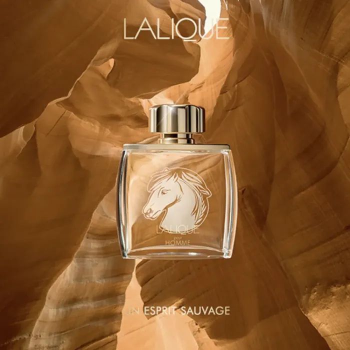 Парфюмированная вода Lalique Equus Pour Homme 75 мл (3454960014169) изображение 3
