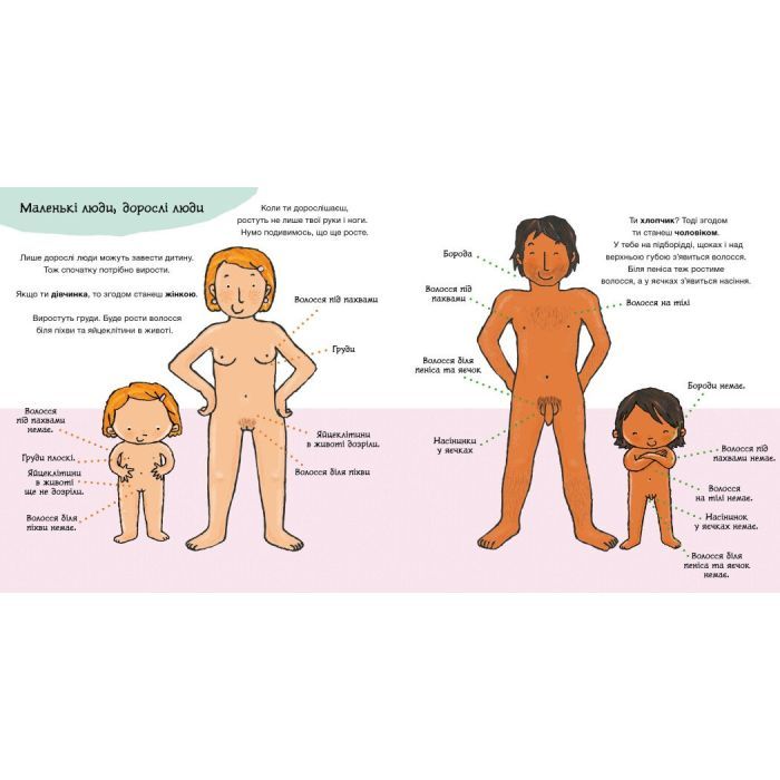 Книга Звідки беруться діти - Пауліна Ауд Ранок (9786170973337) зображення 3