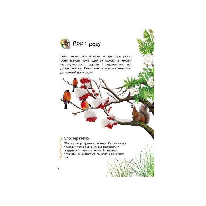 Книга Природа. Енциклопедія дошкільника - Юлія Каспарова Ранок (9786170928313) изображение 3