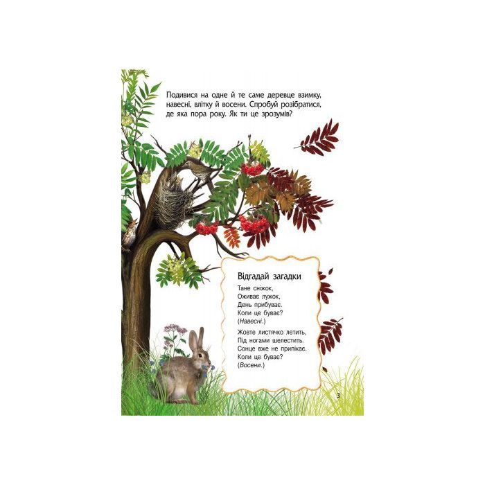 Книга Природа. Енциклопедія дошкільника - Юлія Каспарова Ранок (9786170928313) изображение 4