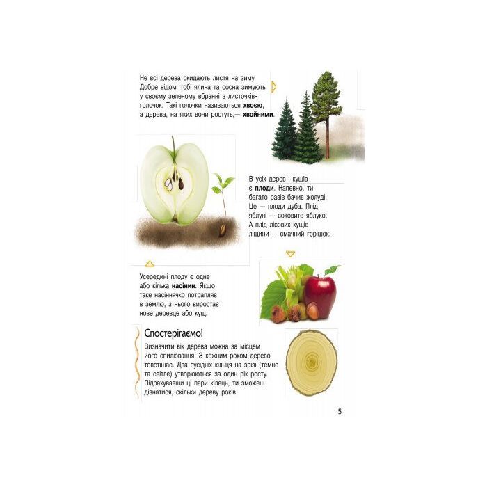 Книга Природа. Енциклопедія дошкільника - Юлія Каспарова Ранок (9786170928313) изображение 6