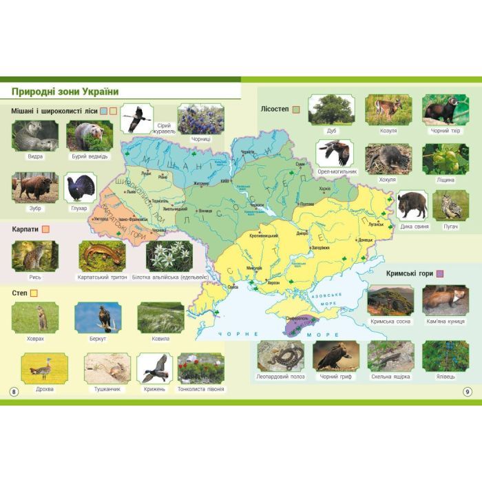 Атлас НУШ Я досліджую світ. 4 клас Ранок (9786170970008) изображение 5