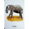 Книга 22 картинки. Прогулянка зоопарком Ранок (9786178773830) зображення 11