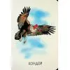 Книга 22 картинки. Прогулянка зоопарком Ранок (9786178773830) зображення 12