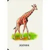 Книга 22 картинки. Прогулянка зоопарком Ранок (9786178773830) зображення 3