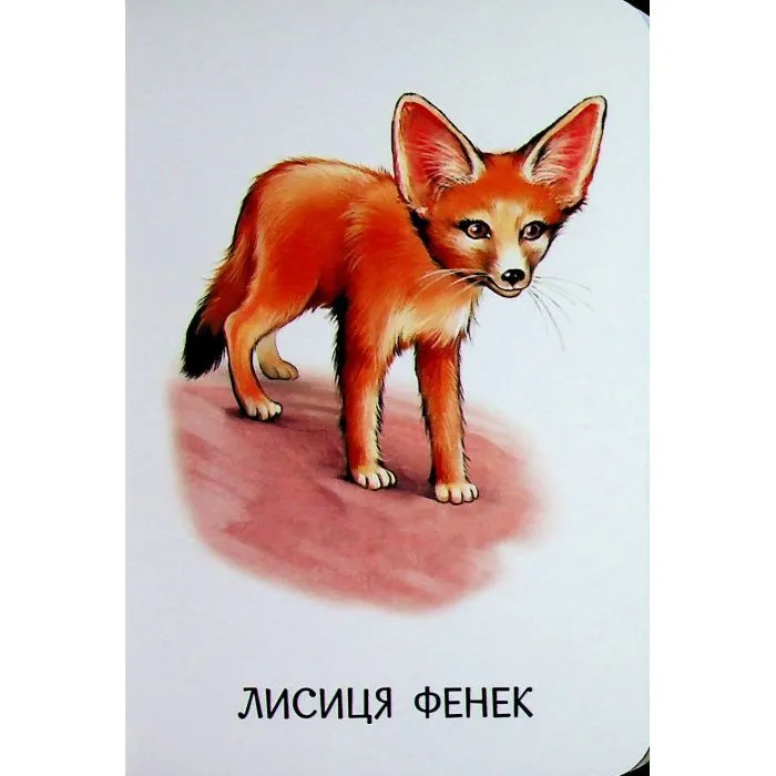 Книга 22 картинки. Прогулянка зоопарком Ранок (9786178773830) зображення 6