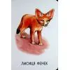 Книга 22 картинки. Прогулянка зоопарком Ранок (9786178773830) зображення 6