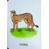 Книга 22 картинки. Прогулянка зоопарком Ранок (9786178773830) зображення 7