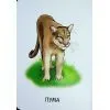 Книга 22 картинки. Прогулянка зоопарком Ранок (9786178773830) зображення 9