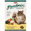 Корм для грызунов Padovan Scoiattoli GrandMix для белок и бурундуков 750 г (8001254001883)