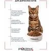 Сухий корм для кішок ProScience Adult Cat Chicken 15 кг (8694686407721) зображення 5