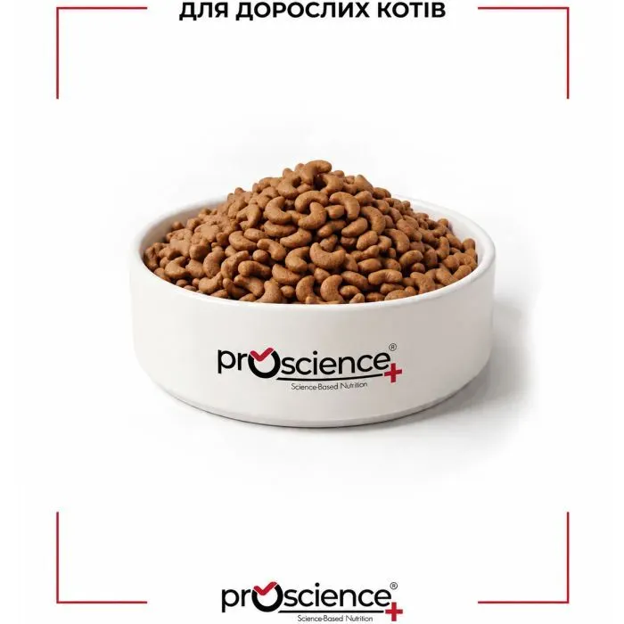 Сухий корм для кішок ProScience Adult Cat Chicken 15 кг (8694686407721) зображення 6