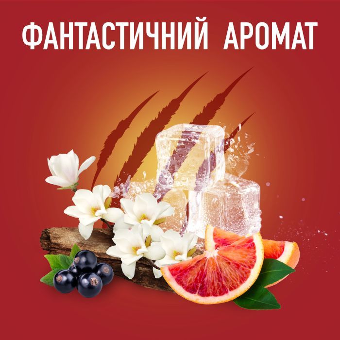 Гель для душа Old Spice Bearglove 250 мл (4084500979437) изображение 2