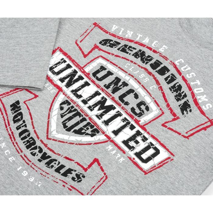 Кофта дитяча Breeze "Vintage customs" (11616-152B-gray) зображення 4
